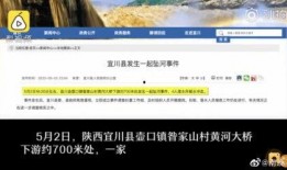 搜索老皮爆料视频大全集,揭秘娱乐圈幕后真相