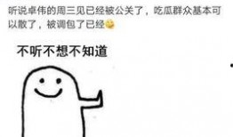 卓伟爆料打码视频,神秘打码视频引发热议，真相究竟如何？