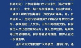石家庄逆行爆料案件最新,真相大白，交通违规引发社会关注